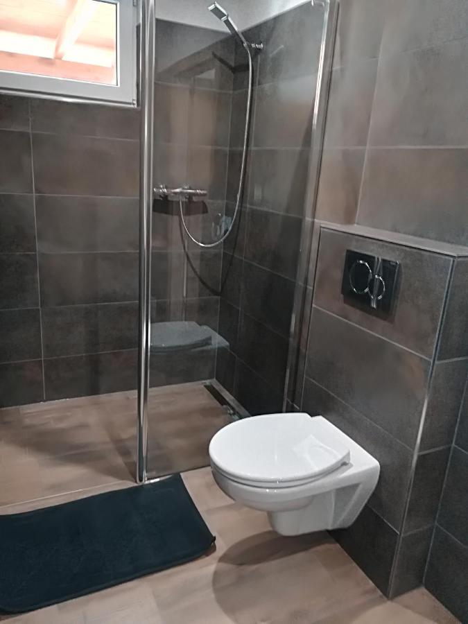 Apartmany Dana Horni Branna Exterior photo